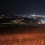 Recolta de cireșe a fermei din Cluj: O lecție despre inovație și adaptare în agricultura modernă