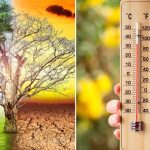 Schimbări climatice alarmante: Luna mai 2026, cea de-a doua cea mai caldă lună înregistrată și creșterea fenomenelor meteorologice extreme