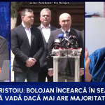 Analiza soartei PNL: Provocările interne și perspectivele viitoare
